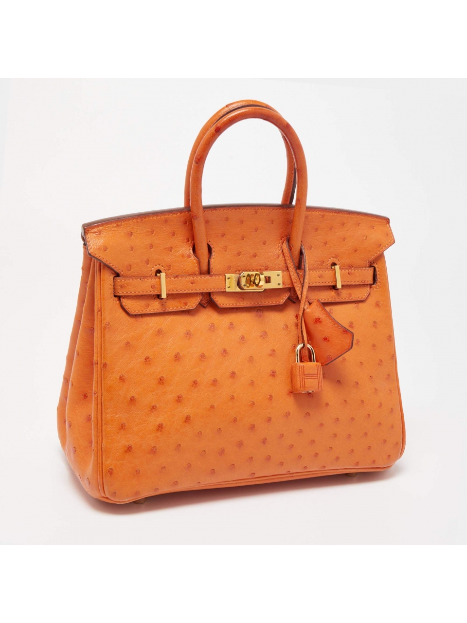 Сумка Hermes Birkin 25 из кожи страуса